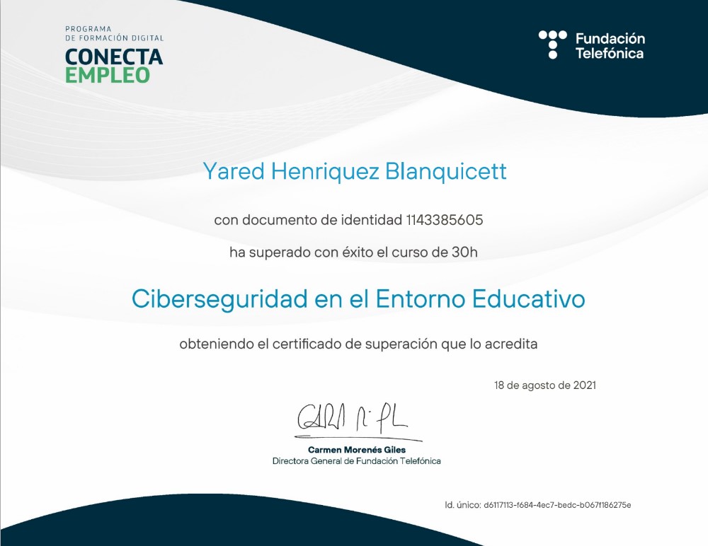 Ciberseguridad